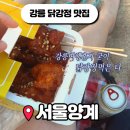 대한1인1닭 | 강릉 혼밥 추천 닭강정 맛집 서울양계 1인메뉴 반박스 솔직후기