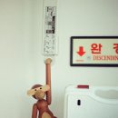 해돋