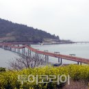 천사의섬