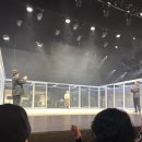 (주)보나비 아티제 세종문화회관점 | 세종문화회관 M씨어터 연극 빅마더 1층2열시야 주차장체크!