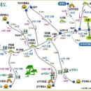 수림관광여행사