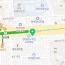 광명요미독앤캣강아지분양고양이분양