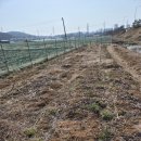 원원농장 이미지