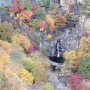 두타민박 이미지