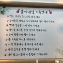 쿤이네집 | 안산 고양이카페 추천! 쿤이네집 방문 후기!