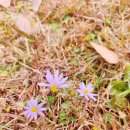 정상농원 이미지