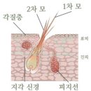 전대약국 이미지