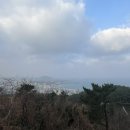 진양세탁