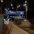 비체나라페스티벌-서울양천공원-겨울 아이랑(21.12.23~