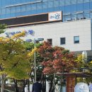 김병준행정사 이미지
