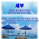 기독교문화여행사 이미지