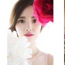스쿠터꽃 이미지