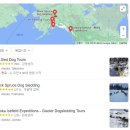 해외 입양가서 썰매 관광에 이용되는 한국 진도믹스견 이미지