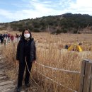 밀양상회 이미지