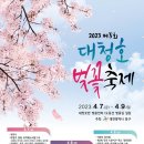 대전 대청호 벚꽃축제 이미지