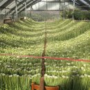 덕장농장 이미지