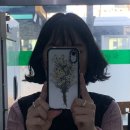 꿈에바이진영 cs컬 펌 후기