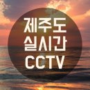 성산 세천 이미지