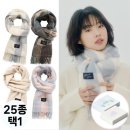 블루25 이미지