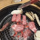 꽃보다갈빗살