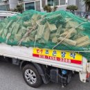 무릉도원면-3 이미지