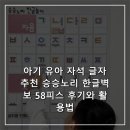 유아노리 | 아기 유아 자석 글자 추천 승승노리 한글벽보 58피스 후기와 활용법