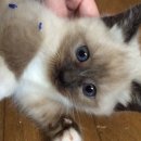 성원푸드 이미지