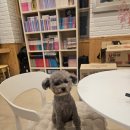 뭉클하우스 펜션 이미지