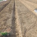 안고랑농장 이미지