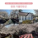 진해드림로드 | 창원 가볼만한곳 창원 벚꽃 여행 진해루 경화역 진해 드림로드 여좌천