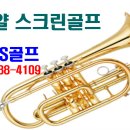 로얄스크린골프장