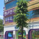 맨앤우먼의원 이미지