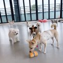 칠곡유치원 이미지