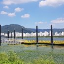 을숙도자전거문화체험협동조합 이미지