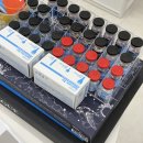 해운대에스테틱 | 부산 웨딩관리로 유명한 해운대 미엘르 에스테틱 '물광필 솔직 후기