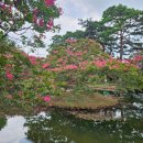 명옥헌정원1(주차장) 이미지