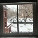 더클래스호텔(The Class HOTEL) | 뉴욕 여행 / JFK 공항, 유기견 이동봉사, 크라운 플라자 호텔, Hi Newyork city Hostel, Motto by Hilton