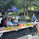 생활수묵화와 플러스펜화 | 장가계 패키지 여행기 ✈ (10) 5일차 - 온라인투어/패키지/9월/노팁/노쇼핑/풀옵션/에어서울/직항/황석채...