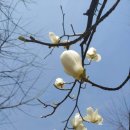 아트벤치 이미지