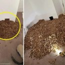 리치펫동물병원 이미지