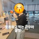 호이플랜 이미지
