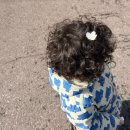 아띠어린이집(승합차2) | 북촌 벚꽃 명소 추천 36개월 아이와 함께하는 아띠인력거 북촌 벚꽃 투어