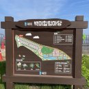 [화성 바다캠핑장] 백미리 희망캠핑장 (솔직후기)