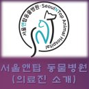 서울앤탑동물병원