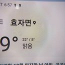 물리치료후 짬 서리버섯 산행.105 (택배불가) 이미지