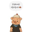 관양동칼국수 이미지