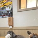 보리네민박(Borizzam_house) 이미지