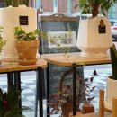 조계현칼국수 이미지