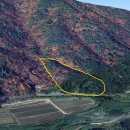 임야매매...대가면 2차선변 보전관리,농림 혼재된 임야 9,864m²(구,2,984) 몽땅 5천만원 이미지