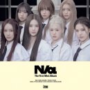 마이코코 이미지